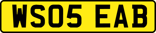 WS05EAB