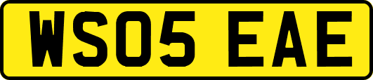 WS05EAE