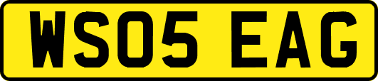 WS05EAG