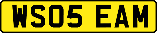 WS05EAM