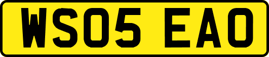 WS05EAO