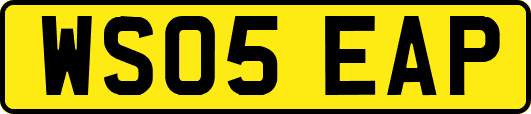 WS05EAP