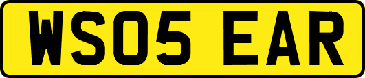 WS05EAR