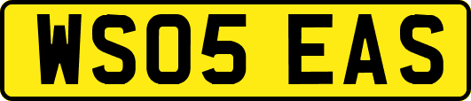 WS05EAS