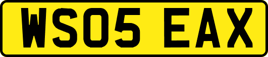 WS05EAX