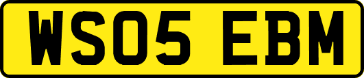 WS05EBM