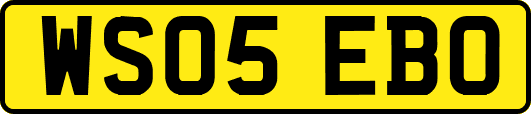 WS05EBO