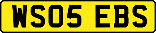 WS05EBS