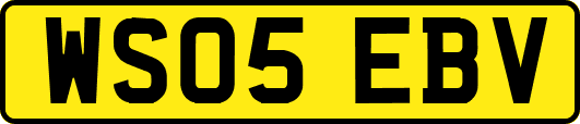 WS05EBV
