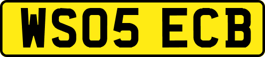 WS05ECB