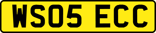 WS05ECC