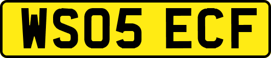 WS05ECF