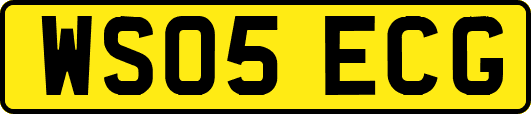 WS05ECG