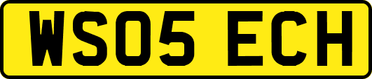 WS05ECH