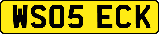 WS05ECK