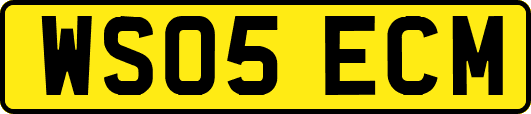 WS05ECM