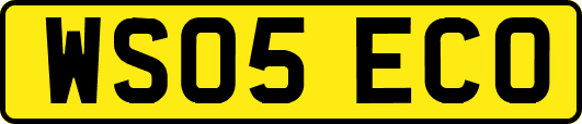 WS05ECO