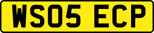 WS05ECP