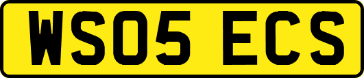 WS05ECS
