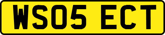 WS05ECT