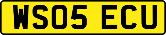 WS05ECU