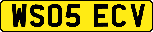 WS05ECV