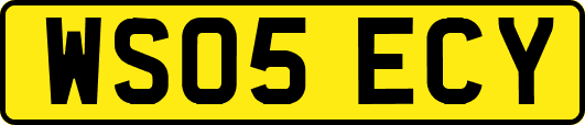 WS05ECY