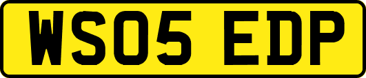 WS05EDP