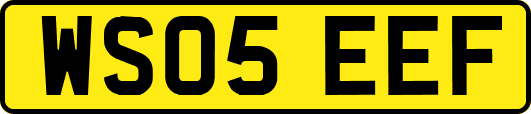 WS05EEF
