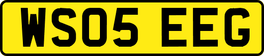 WS05EEG
