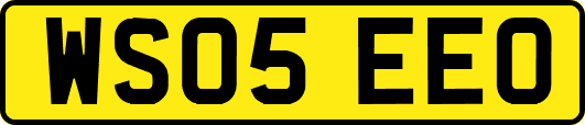 WS05EEO