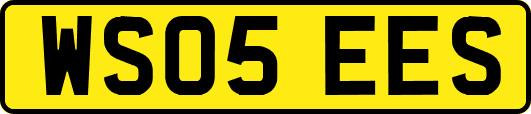 WS05EES