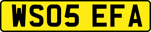 WS05EFA