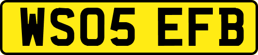 WS05EFB