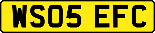 WS05EFC