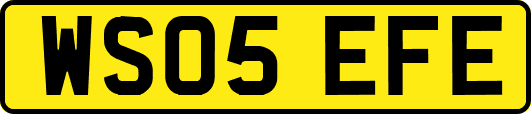WS05EFE