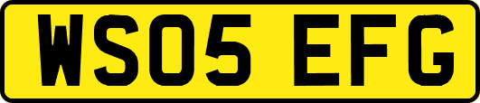WS05EFG