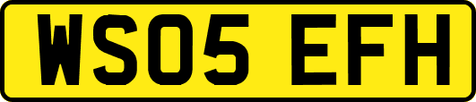 WS05EFH