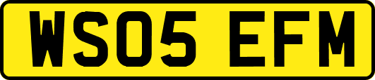 WS05EFM