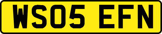 WS05EFN