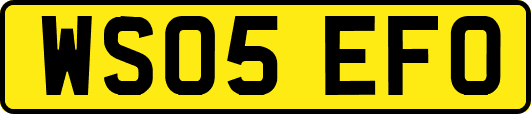 WS05EFO