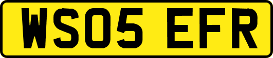 WS05EFR