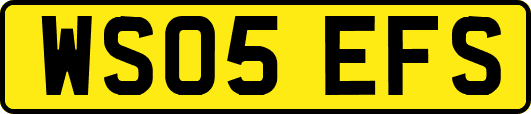 WS05EFS