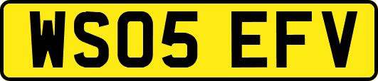 WS05EFV