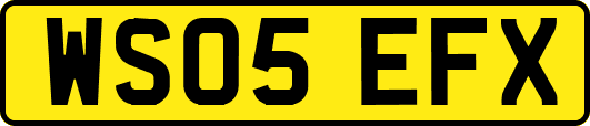 WS05EFX