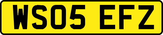 WS05EFZ