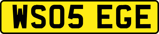WS05EGE