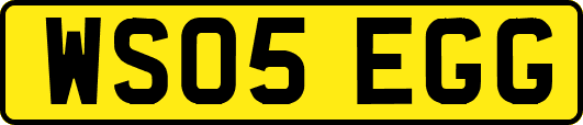 WS05EGG