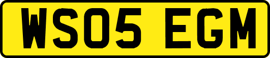 WS05EGM