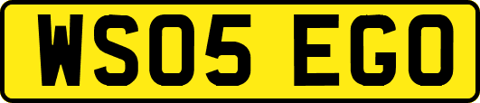 WS05EGO